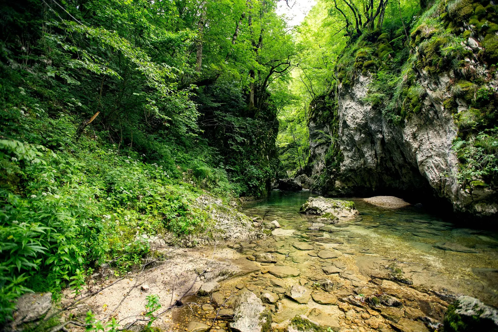 Avanturističke ture, Crna Gora